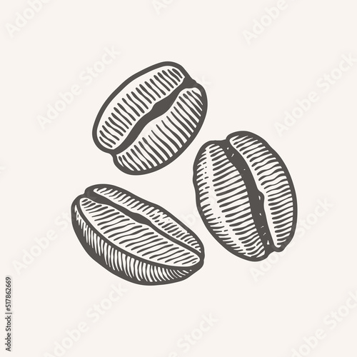 Roasted coffee beans in engraving style. The fruits of exotic plants for making an invigorating drink. Design element for menu, packaging for shop, cafe. Vector vintage illustration.
