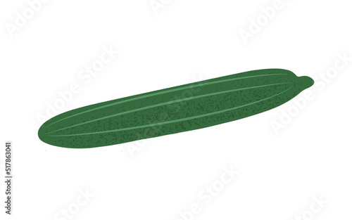 Long green cucumber in flat style with grain texture, hand drawn vector illustration isolated on white