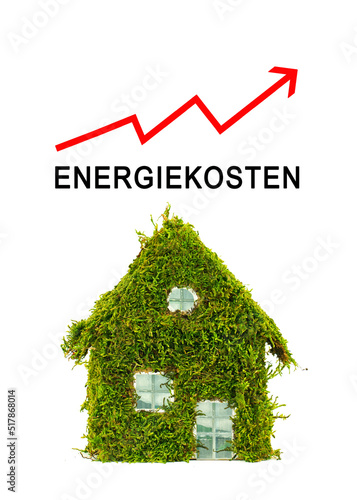 Energiekosten - begrüntes Haus