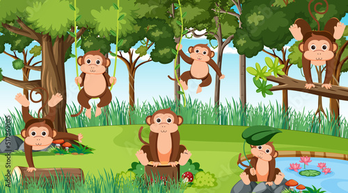 Fototapeta Naklejka Na Ścianę i Meble -  Monkeys in the jungle scene