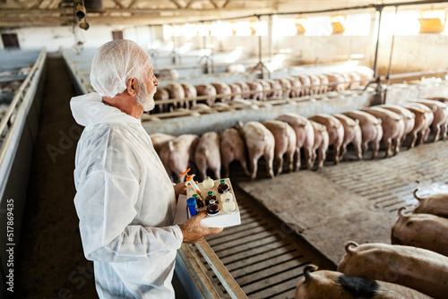 Pig farming, pig breeding, and veterinary. 