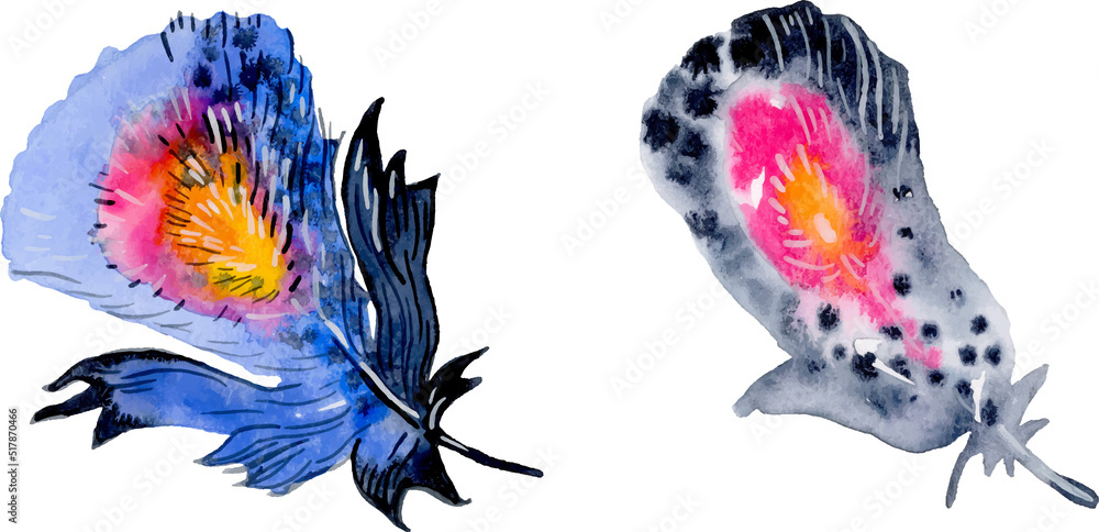 Bird feather element set. Hand drawn watercolor illustration. Bird feather element set. Hand drawn watercolor illustration.