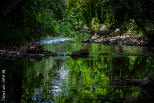 The Silver creek on the forest in Wisconsin © Denny