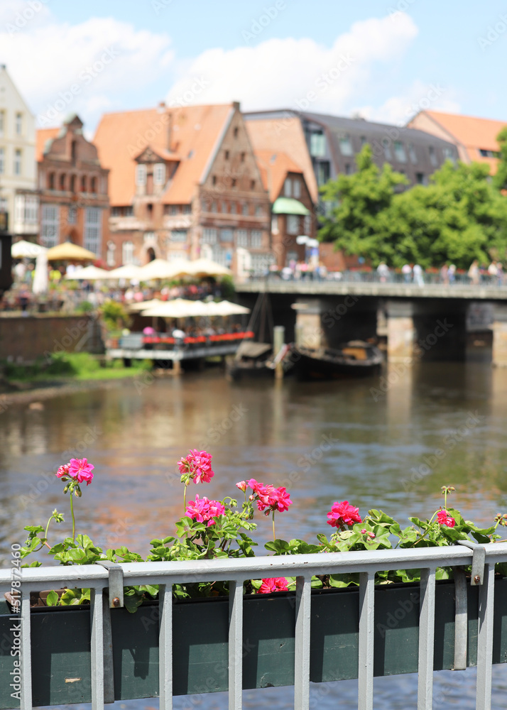 City walks with flowers in Lüneburg, Germany