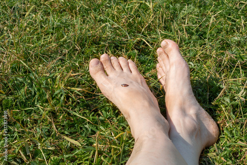 The feet of women's feet in sand and shells relax on the green grass. the concept of relaxing by the sea on a bright, hot and sunny day. © Алла Чеснокова