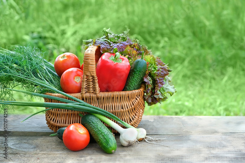 wicker basket with organic fresh vegetables on table in garden, natural background. concept of harvesting, assorted of raw vegetables for healthy vitamin food