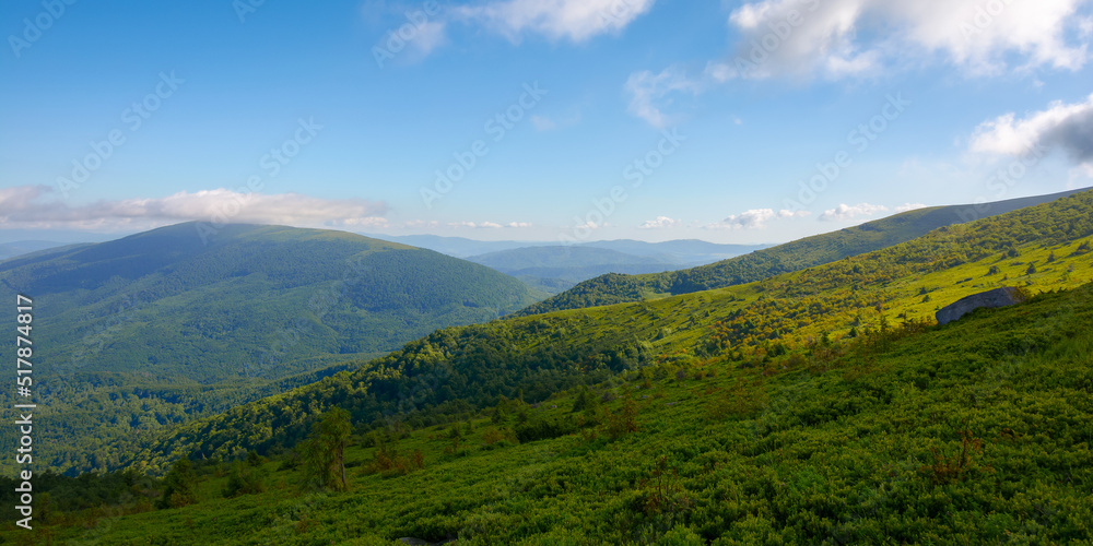 green mountain landscape on a summer morning. grassy hills and meadows. clouds on the sky