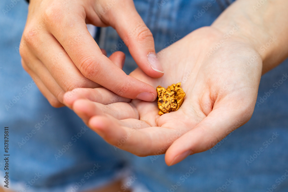 several small gold nuggets held in the hands of a girl