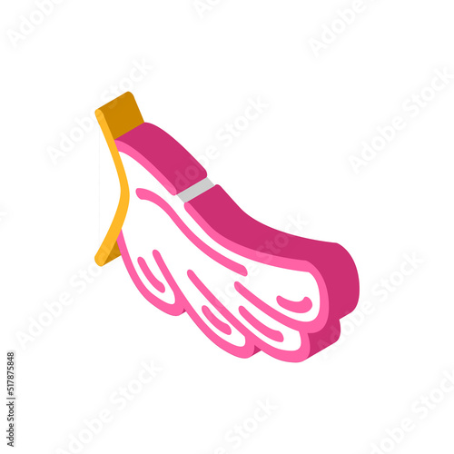 cupeydon wing isometric icon vector. cupeydon wing sign. isolated symbol illustration