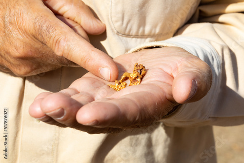 gold prospector showing gold nuggets in his hand