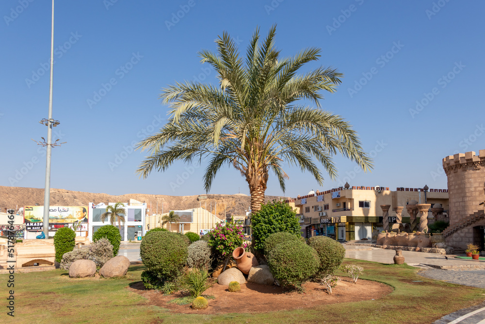Fototapeta premium Egypt, Sharm El Sheikh - July 02, 2022: A garden with palm tree and tropical flowers in Sharm El Sheikh in Egypt.