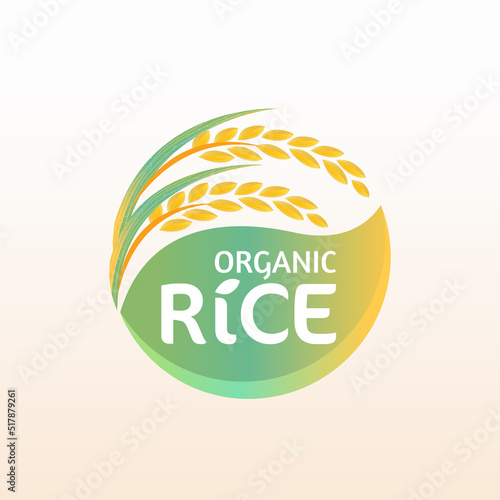 paddy rice premium organic natural product banner logo vector design