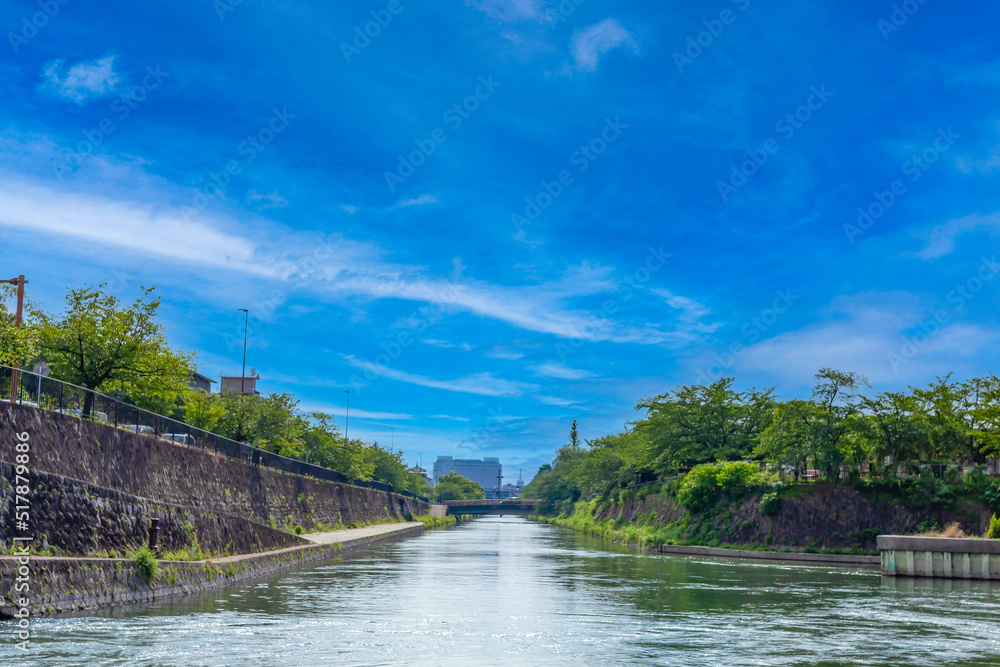 Fototapeta premium 京都 琵琶湖疏水付近の川
