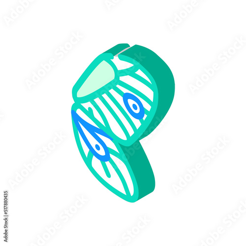 butterfly wing isometric icon vector. butterfly wing sign. isolated symbol illustration