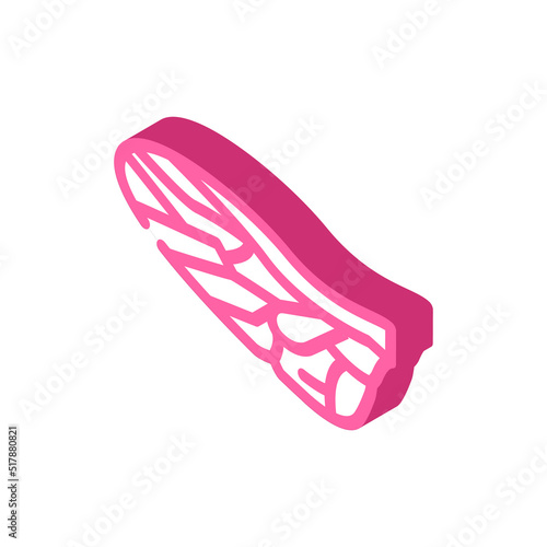 fly wing isometric icon vector. fly wing sign. isolated symbol illustration