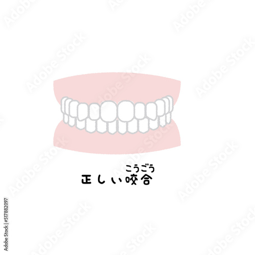 正しい噛み合わせ