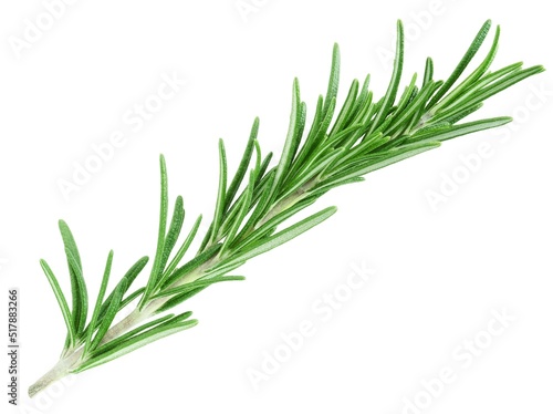 Rosemary twig isolated on white background 