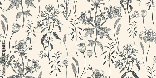 Nature Seamless pattern. Dry herbs, cereals, and wildflowers