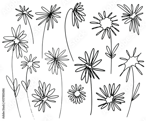 Set of vector graphic chamomile flowers in line-art style.