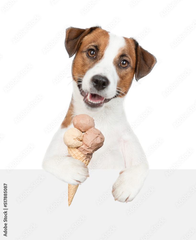 Jack russell terrier puppy holds ice cream above empty board. isolated on white background