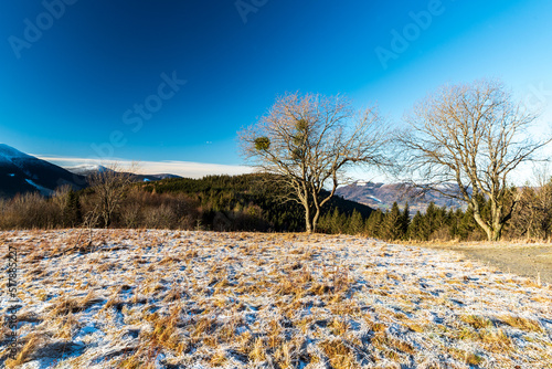 Winter morning on Butoranka bellow Lysa hora hill in Moravskoslezske Beskydy mountains in Czech republic photo