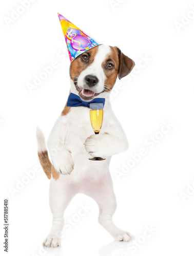 Funny Jack russell terrier puppy wearing tie bow and party cap holds glass of champagne. isolated on white background © Ermolaev Alexandr