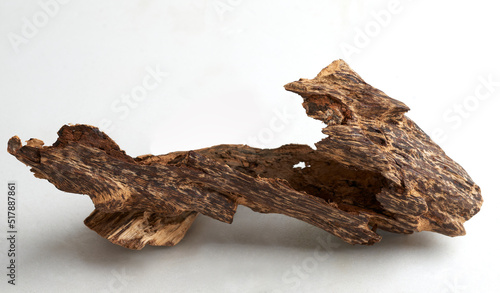 Solid piece of agarwood or agar wood (Oud) isolated on white background