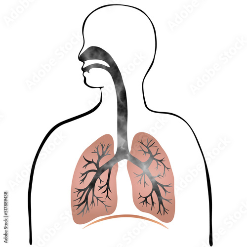 水彩風のカラフルな肺と気管支のイラストと人のシルエット 
Colorful illustration of the lungs and trachea with human silhouette with water color texture