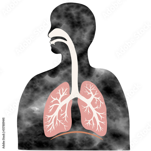 水彩風のカラフルな肺と気管支のイラストと人のシルエット 
Colorful illustration of the lungs and trachea with human silhouette with water color texture