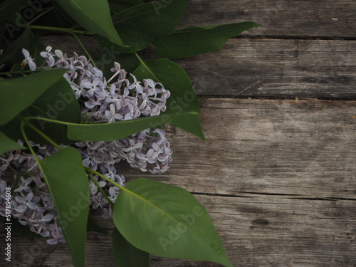 Branches of tender lilac lie on the table. 