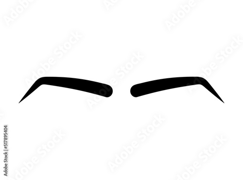 Vector flat eye brows isolated on white background