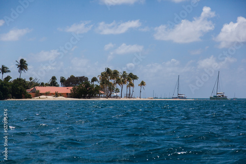 Martinique island in the Caribbean Sea with a beach with palm trees, a house on the shore and yachts off the coast.