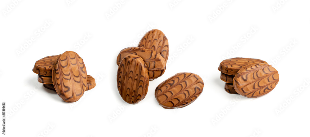 Oval Shortbread Biscuit Coated in Milk and Dark Chocolate Oval Shortbread Biscuit Coated in Milk and Dark Chocolate
