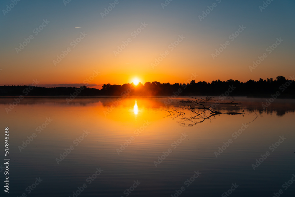misty sunrise with a little branch lies,swims in the lake; forest as a silhouette and blue sky without clouds