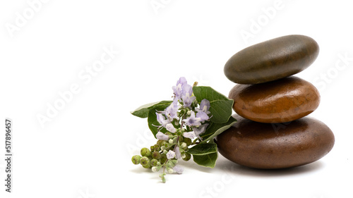 Zen stones and vitex rotundifolia flowers isolated on white background.