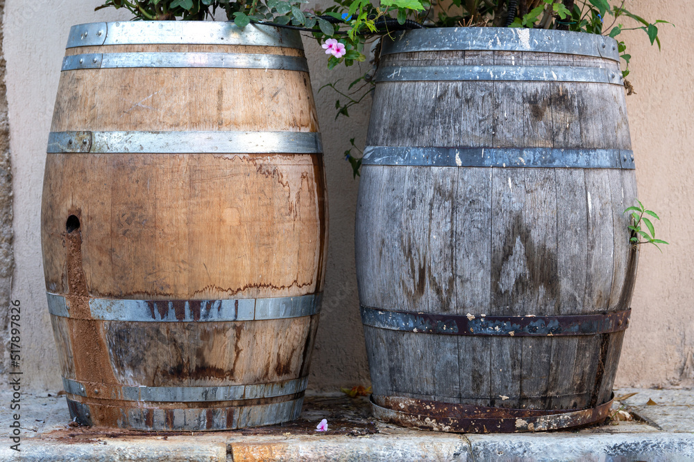 Wooden barrels with plants on the Tel Aviv street Wooden barrels with plants on the Tel Aviv street