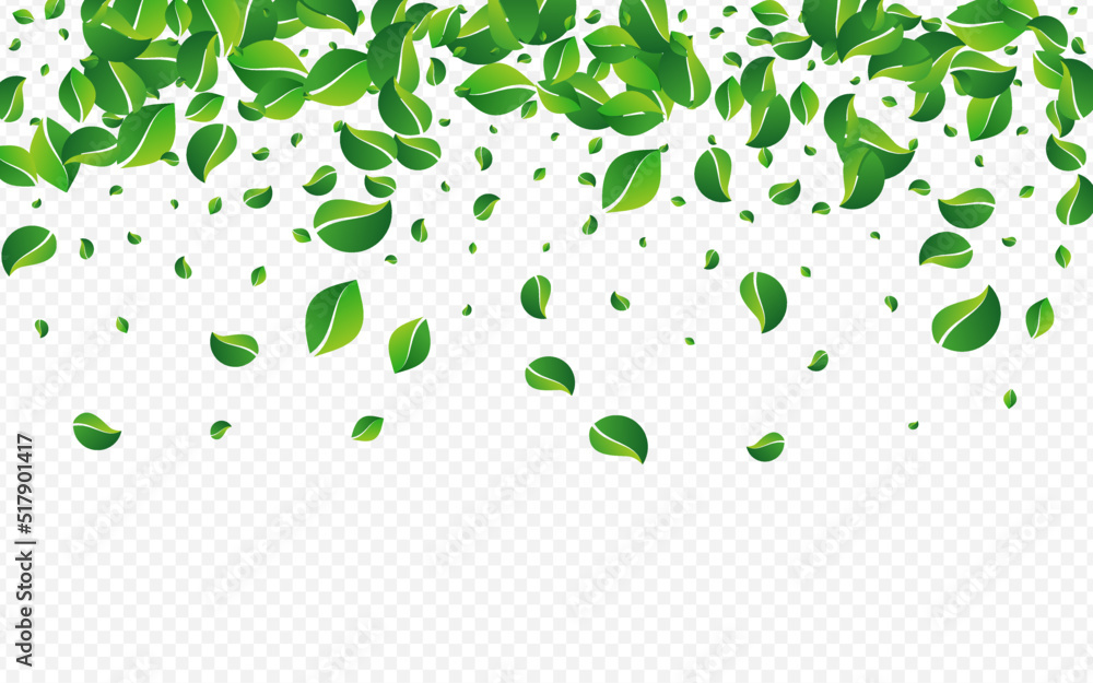 Grassy Leaf Blur Vector Transparent Background. Grassy Leaf Blur Vector Transparent Background.