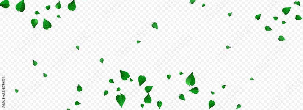Forest Foliage Organic Vector Panoramic Forest Foliage Organic Vector Panoramic