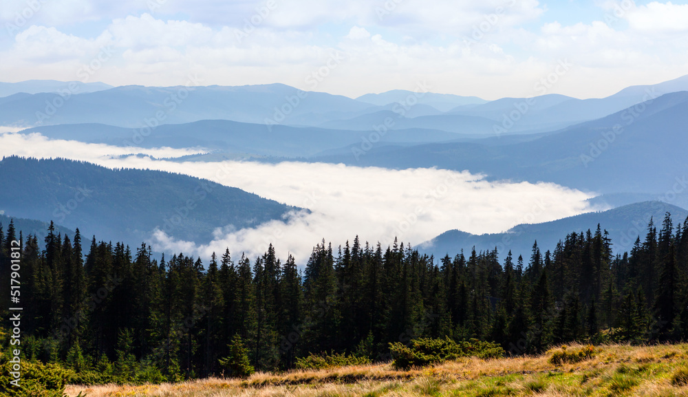 Beautiful hills and mist in the Carpathian mountains.
