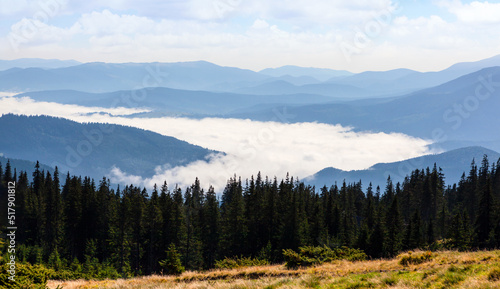 Beautiful hills and mist in the Carpathian mountains.