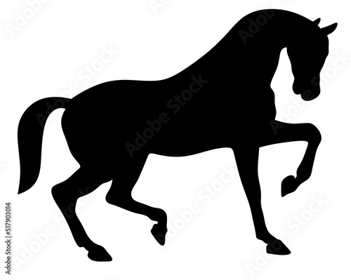 Silhouette of a horse on a white background.