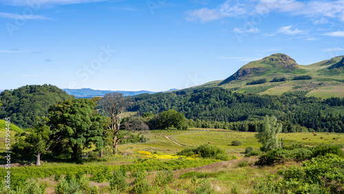 Dumgoyne is a hill prominent on the edge of the Campsie Fells and is a volcanic plug. Viewed from the west highland way