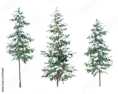 Watercolor winter christmas tree set. Coniferous clip art. Snow covered fir tree