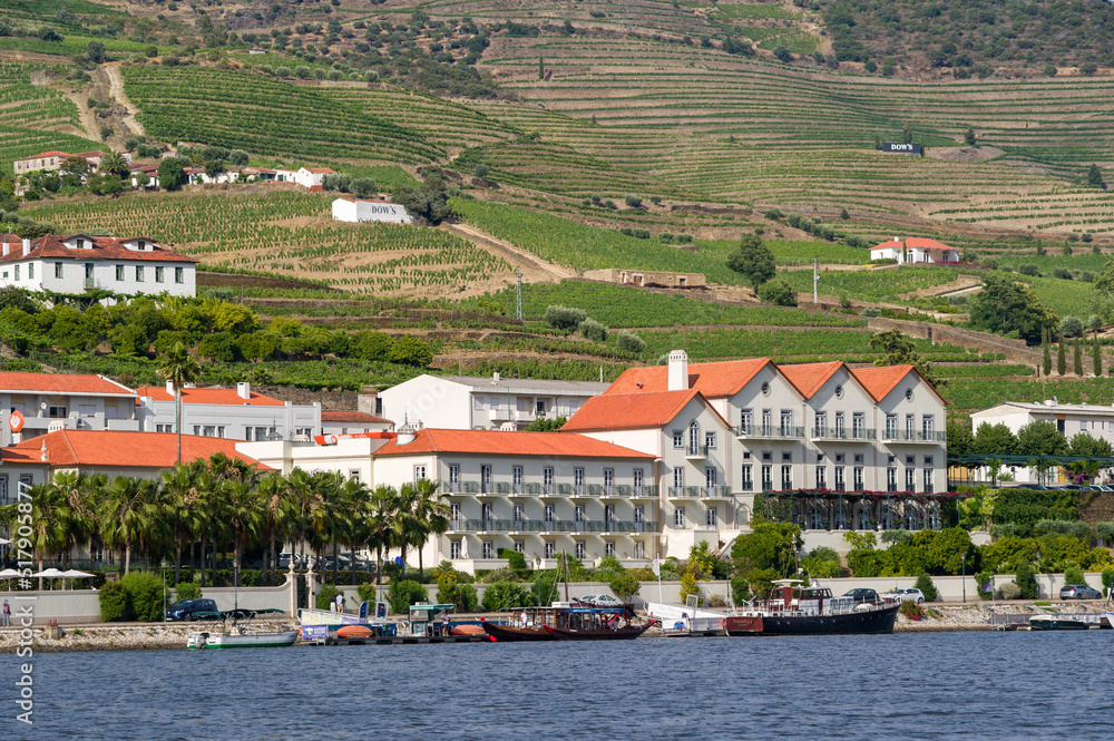 Vineyards along the Douro River, Portugal