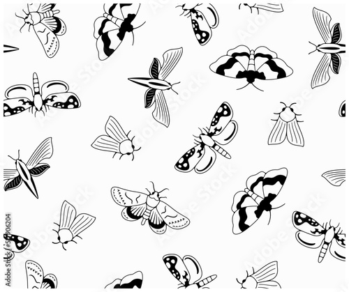 Nocturnal moth, butterflies and moth, seamless vector background in outline, pattern. Flying insects, nature, entomology and entomological, wallpaper, banner, vector design