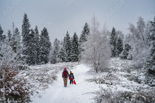 Fototapeta Naklejka Na Ścianę i Meble -  góry, beskidy, beskid, śląski, hiking, las, trees, winter, zima, śnieg, 