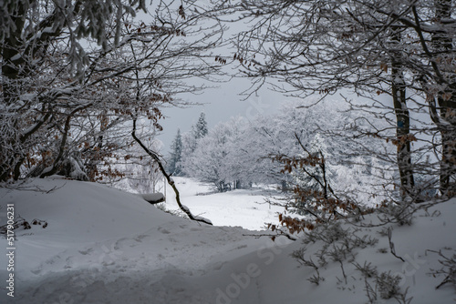 Fototapeta Naklejka Na Ścianę i Meble -  góry, beskidy, beskid, śląski, hiking, las, trees, winter, zima, śnieg, 