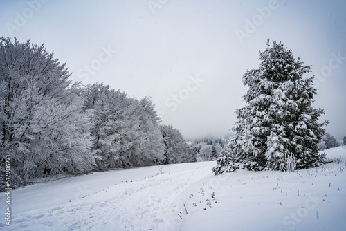 Fototapeta Naklejka Na Ścianę i Meble -  góry, beskidy, beskid, śląski, hiking, las, trees, winter, zima, śnieg, 