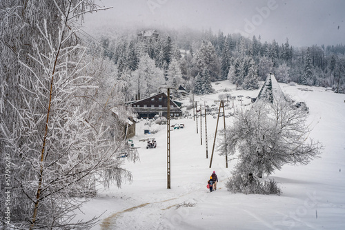Fototapeta Naklejka Na Ścianę i Meble -  góry, beskidy, beskid, śląski, hiking, las, trees, winter, zima, śnieg, 