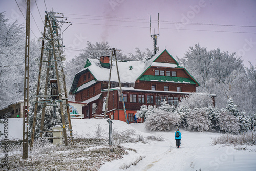 Fototapeta Naklejka Na Ścianę i Meble -  góry, beskidy, beskid, śląski, hiking, las, trees, winter, zima, śnieg, 
